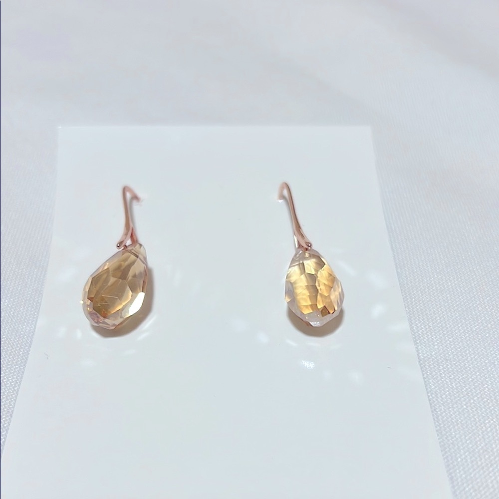 Elegant Rose Gold Drop Earrings